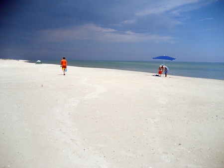 Чорноморська Домінікана